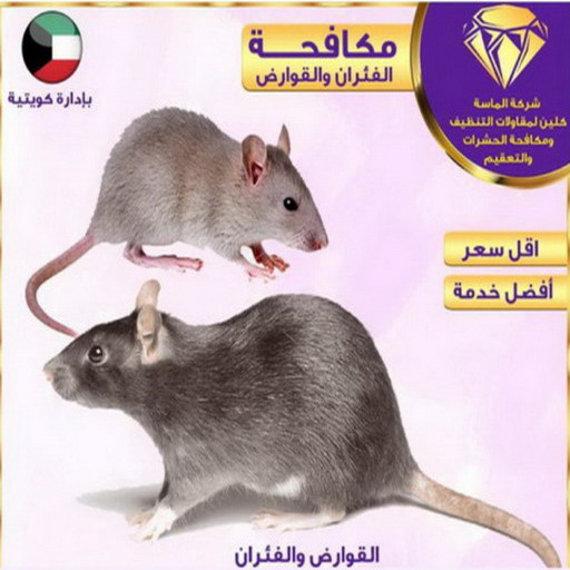 مكافحة حشرات الجهراء - مكافحة حشرات 📞 50464050 - شركة مكافحة حشرات - مكافحة حشرات وقوارض - مكافحة بق - رش صراصير - مكافحة نمل - شركة حشرات - مكافحة فئران 1 مكافحة حشرات الجهراء - مكافحة حشرات 📞 50464050 - شركة مكافحة حشرات - مكافحة حشرات وقوارض - مكافحة بق - رش صراصير - مكافحة نمل - شركة حشرات - مكافحة فئران