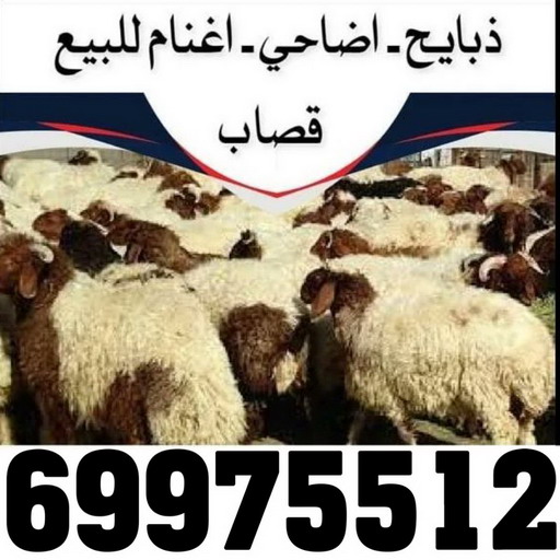 2 فني المنيوم الجهراء - المنيوم الجهراء - فني المنيوم 50737776 - شتر الجهراء - فني شتر الجهراء - تركيب شتر الجهراء - معلم المنيوم الجهراء - تركيب مطابخ الجهراء - فني مطابخ الجهراء
