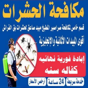 مكافحة قوارض - مكافحة حشرات وقوارض - الاتصال 50464050 - شركة حشرات - مكافحة حشرات - شركة مكافحة حشرات - مكافحة بق - مكافحة حشرات الجهراء - مكافحة حشرات الكويت 4 مكافحة الحشرات