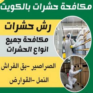 مكافحة قوارض - مكافحة حشرات وقوارض - الاتصال 50464050 - شركة حشرات - مكافحة حشرات - شركة مكافحة حشرات - مكافحة بق - مكافحة حشرات الجهراء - مكافحة حشرات الكويت 6 مكافحة حشرات الكويت مكافحة قوارض - مكافحة حشرات وقوارض - الاتصال 50464050 - شركة حشرات - مكافحة حشرات - شركة مكافحة حشرات - مكافحة بق - مكافحة حشرات الجهراء - مكافحة حشرات الكويت