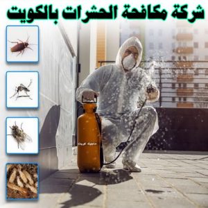 مكافحة قوارض - مكافحة حشرات وقوارض - الاتصال 50464050 - شركة حشرات - مكافحة حشرات - شركة مكافحة حشرات - مكافحة بق - مكافحة حشرات الجهراء - مكافحة حشرات الكويت 5 شركة مكافحة حشرات رخيصة مكافحة قوارض - مكافحة حشرات وقوارض - الاتصال 50464050 - شركة حشرات - مكافحة حشرات - شركة مكافحة حشرات - مكافحة بق - مكافحة حشرات الجهراء - مكافحة حشرات الكويت